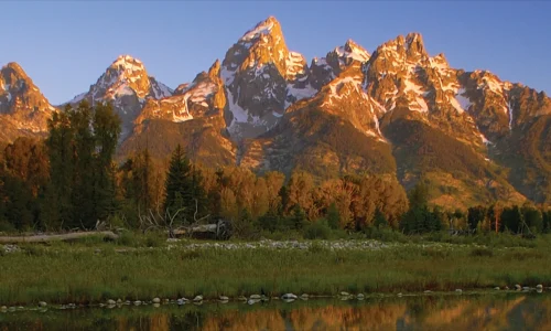 IMS Utah Service Areas