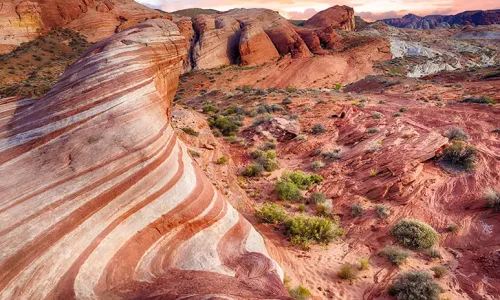 IMS Utah Service Areas