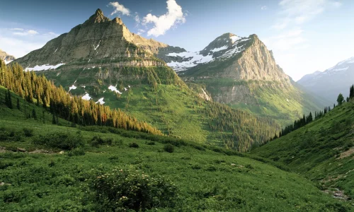 IMS Utah Service Areas